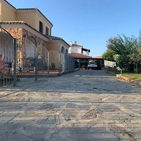 Pinna * San Teodoro (Sardinia)