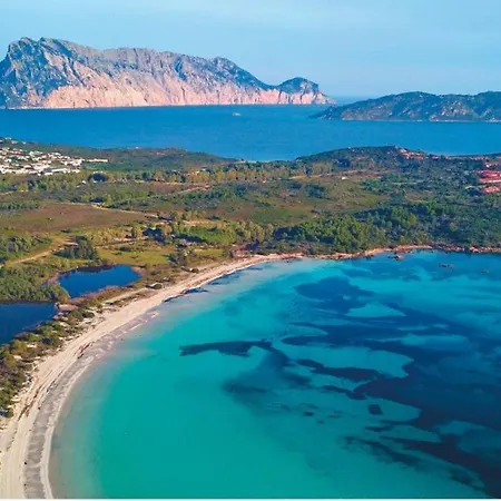 Pinna Daire San Teodoro (Sardinia)
